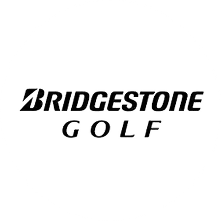 Brands bridgestone