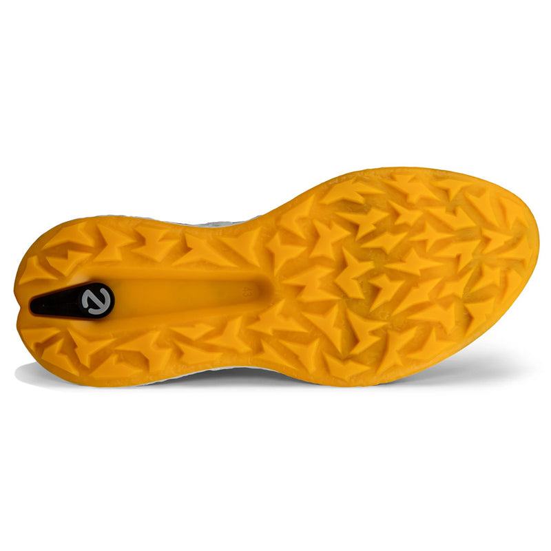 ECCO BIOM H5 Hybrid Spikeless Waterproof Shoes - Wild Dove