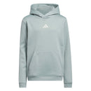 adidas Unisex Juniors Climawarm Graphic Hoodie - Wonder Sage