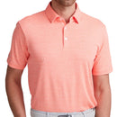 Ping Rafe Polo Shirt - Wild Salmon