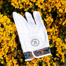Skins Leather Golf Glove - King Octopus