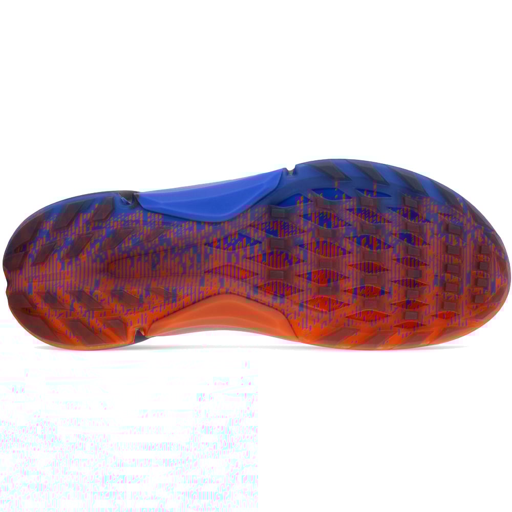 Ecco biom terrain z boa clearance
