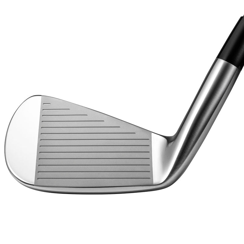 Mizuno Pro Irons 221 - Steel
