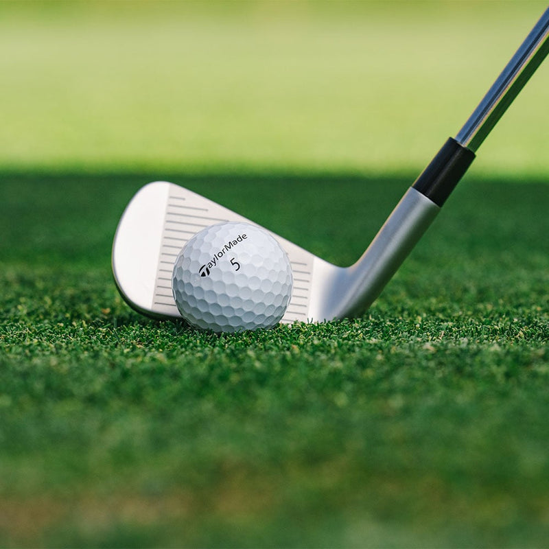 TaylorMade P790 Irons - Graphite