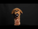 Daphne's Driver Headcover - Golden Retriever