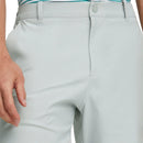 Puma Dealer 10" Shorts - Ash Grey