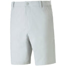 Puma Dealer 8" Shorts - Ash Grey