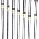 Titleist T100 2019 Steel Mens Right Hand Irons 4-PW Stiff - True Temper Dynamic Gold S300