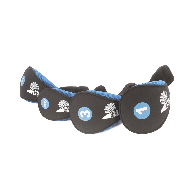 Palm Springs Visa V2 Steel/Graphite Mens Right Hand Package Set Stiff - Palm Springs