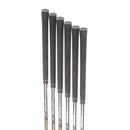 Callaway Apex Ai300 Steel Mens Right Hand Irons 5-PW Regular - Dynamic Gold R300 MID 90