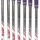 Titleist T300 Steel Mens Right Hand Irons 5-GW Regular - True Temper AMT Red R300