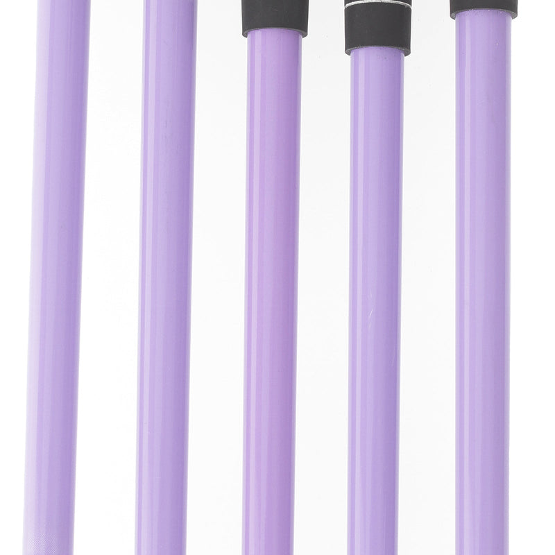 Benross Athena Graphite Ladies Right Hand Irons 7-SW Ladies - Benross Athena