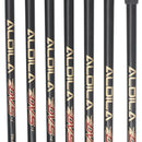 Benross VX6 Graphite Mens Right Hand Irons 4-SW Regular - Aldila DVS-i 70-R