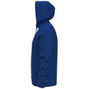 Under Armour Fleece Wordmark Hoodie - Team Royal